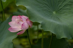 _IGP5059a