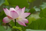 _IGP5190a