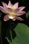 IMGP5354