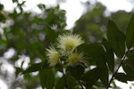 IMGP7206