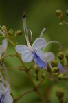 IMGP2383