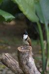IMGP3349A