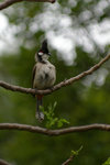 IMGP3436a