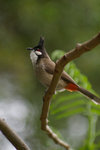 IMGP3440a