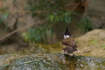 IMGP5758a