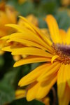 IMGP0435
