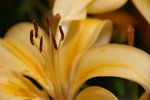 IMGP0473