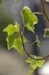 IMGP0477