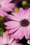 IMGP0497