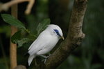 IMGP0577
