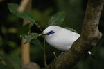 IMGP0579