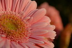 IMGP0628