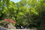 IMGP1715