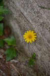 IMGP3464