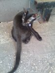 DSC05113