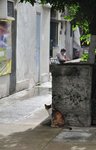 DSC_0770r