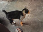 DSC04444