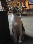 DSC04450