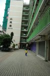 DSC_7384