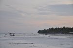 DSC_1515