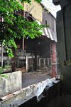 DSC_3431