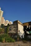 DSC_3490