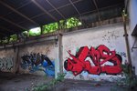 DSC_3587