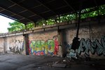 DSC_3595