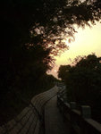 DSC02995e