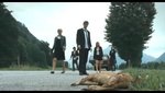 係馬路上撞死左一隻小動物之後不約而同收到死亡來電