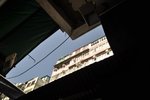 DSC_0558