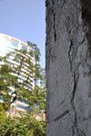 DSC_0618