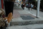 DSC_4998