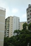 DSC_7419