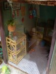 DSC02519