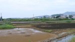 P1270401曬鹽田
