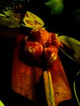 DSC03546
