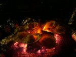 DSC03889