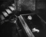 至於恐怖性,其實一般般