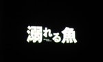 單是名稱叫作溺水之魚已知奇離