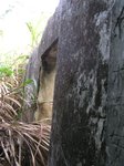 P1010183