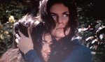 作為美國數一數二的cult movie,血腥暴力色情意識不良等等當然比比皆是