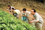 但導演的電影總是艱辛過後見艷陽,不見太出色但可一看