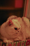 DSC_0128e