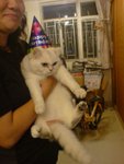 DSC03959