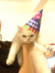 DSC03962
