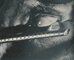 再來一個切割眼球再接上月亮被雲所破開的鏡頭,以1932年來說,這個手法實在有夠清脆利害