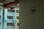 DSC_7976
