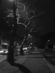 尖東-梳士巴利道