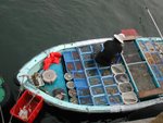 西貢碼頭-賣海鮮3